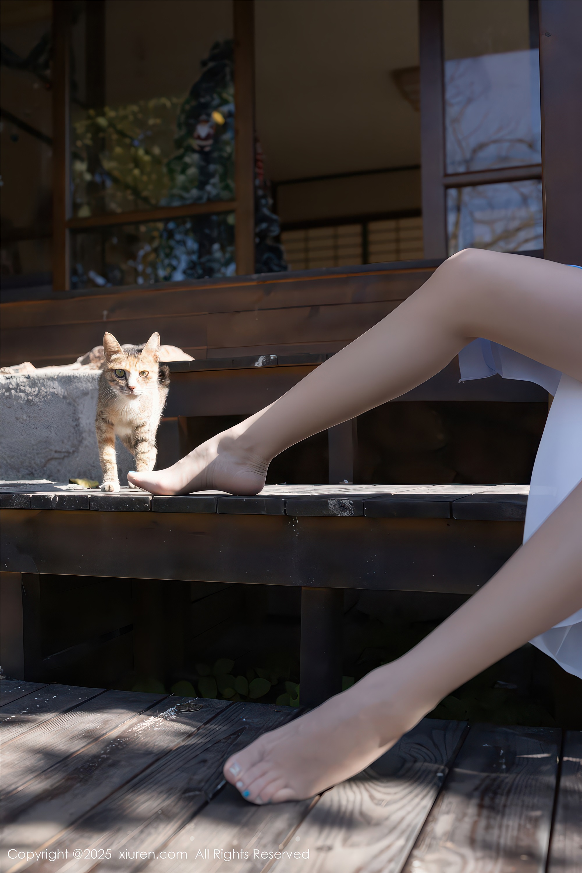 Xiuren秀人网 2025.12.30 NO.11178 安然anran